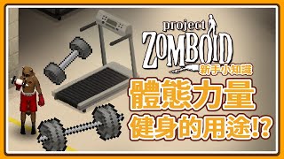 【新手小知識】末日健身的好處 成為肌肉大佬!? 體態 力量技能用途 Project Zomboid 殭屍毀滅工程 🍛咖蛋遊戲 輕攻略