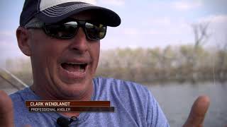 Determining the Seasonal Movements of Bass