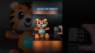 Bop & Groove Tiger - Link Squad Fisher Price #highvoltage  #untilitpops #toy #fisherprice #linksquad