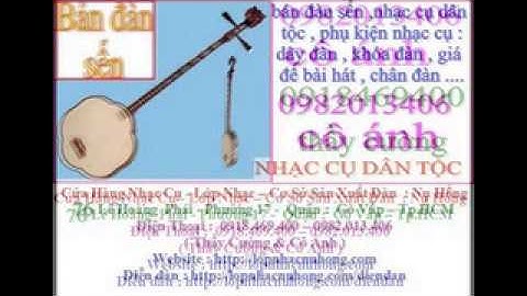 Nơi bán đàn nguyệt - đàn sến giá rẻ tại Tp HCM - 76 Lê Hoàng Phái, P.17, Gò Vấp