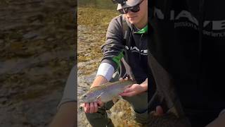 Treni Autunnali💪🇨🇦 ¦¦ Riserva ZTP Agogna Gozzano #fishing #fish #perte #troutfishing #angler #trota
