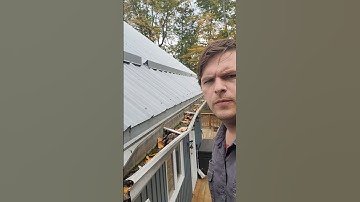 A day on the job #gutters #construction #shorts