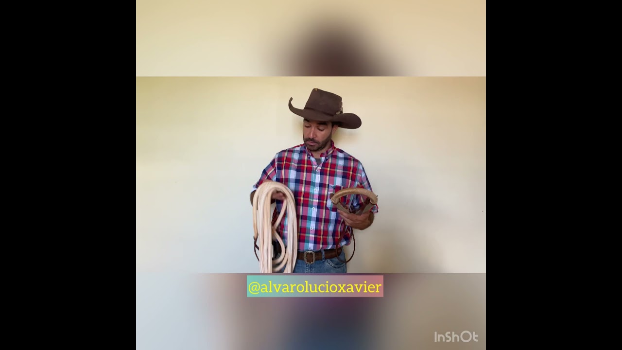 Hackamore como atar as rédeas
