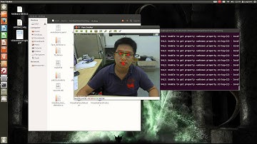 Face Tracking System Based on Active Shape Model