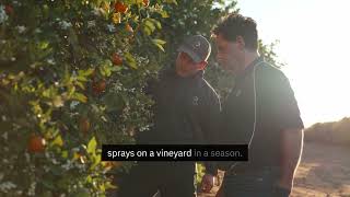 Weinbauern in Riverland werden Herr über Unkrautprobleme | Alion® 500 SC Herbizid