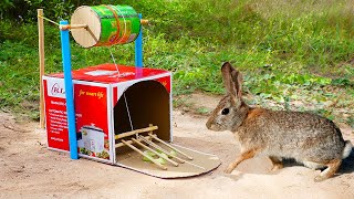 Simple Rabbit Trap  Unique Quick Rabbit Trap Using Cardboard With Cans Work 100%