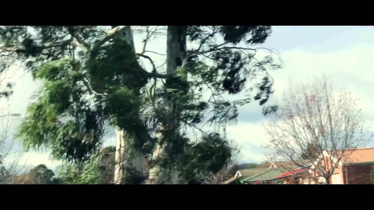 How to get a Film Look with Your Camcorder or DSLRYouTube YouTube