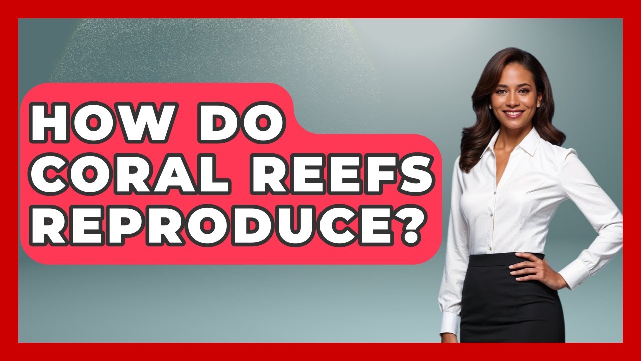 How Do Coral Reefs Reproduce? - The Marine Life Explorer