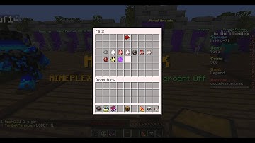 Mineplex Bug Report!