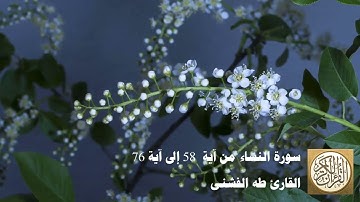 طه الفشني - سورة النّساء من آية ٥٨ إلى ٧٦ - إِنَّ اللَّهَ يَأْمُرُكُمْ أَن تُؤَدُّوا الْأَمَانَاتِ