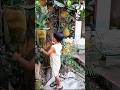 জেইন কাঁঠাল নিয়ে কি করছে#jackfruit#shorts#shortsvideo#ytshorts