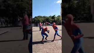 Tik Tok do Homen Aranha tente não rir|Spider man BR