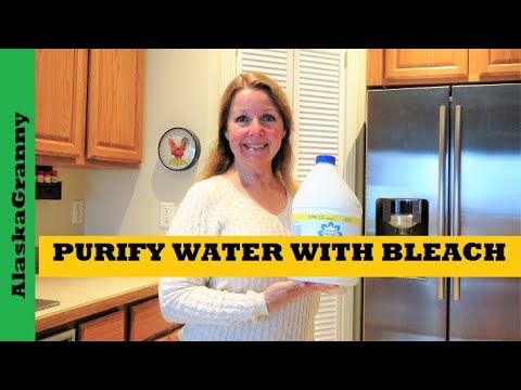 How Often Put A Cup Of Bleach In Landscape Water?