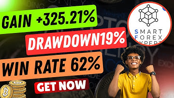 I Tested SFE Impulse EA v1.7 on MT4 – The Results 💰