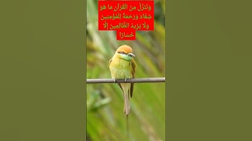 #ياسر_الدوسري #تلاوة_خاشعة  #قران_كريم #فضلا_لايك_و_إشتراك
