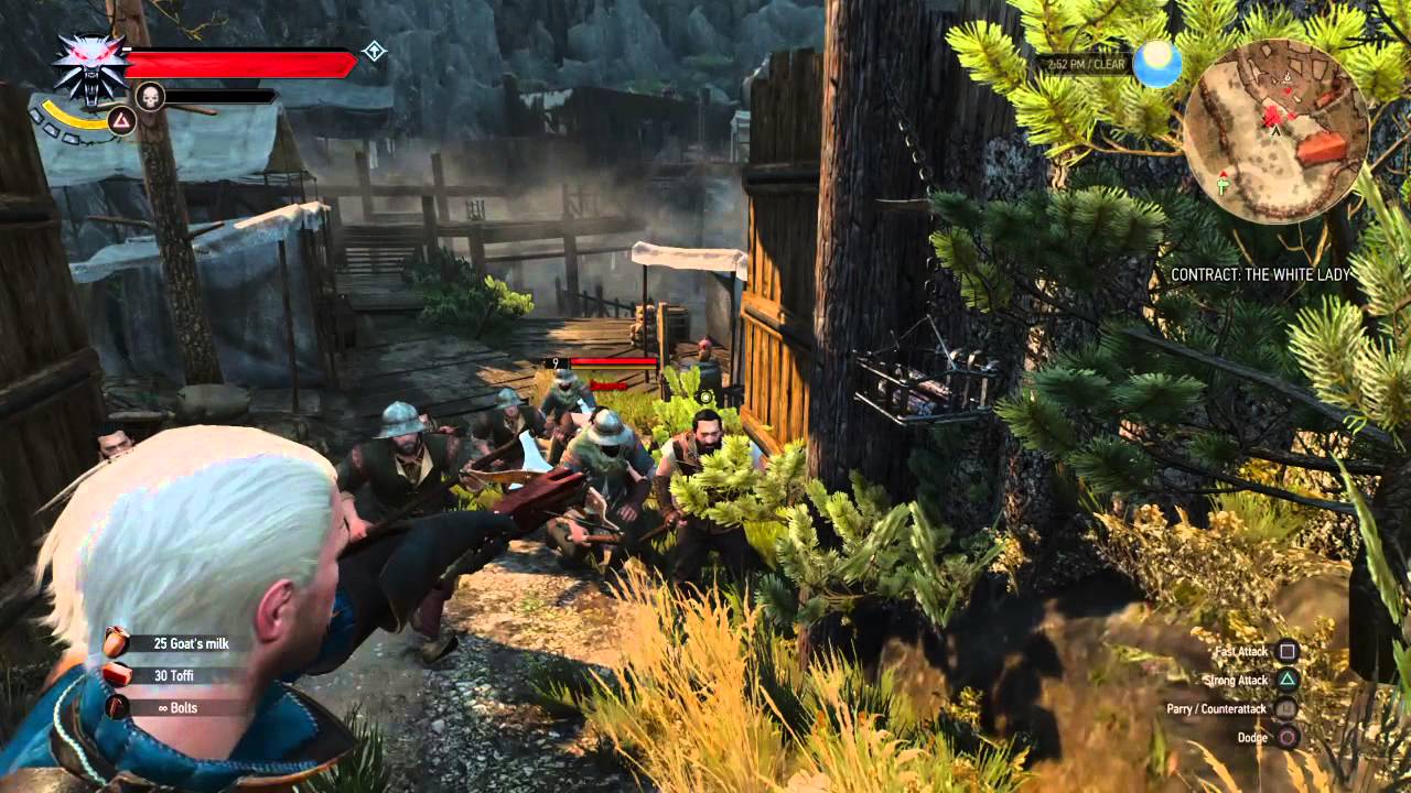 The Witcher 3: Wild Hunt Master Marksman Trophy / Achievement Video Guide