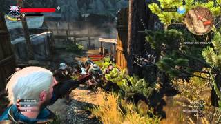 The Witcher 3: Wild Hunt Master Marksman Trophy / Achievement Video Guide