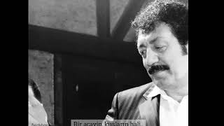 Müslüm Gürses Orhan Veli Şiirleri Okuyor - Anlatamıyorum / Ölüme Yakın