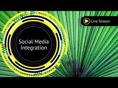 Organic Social Media