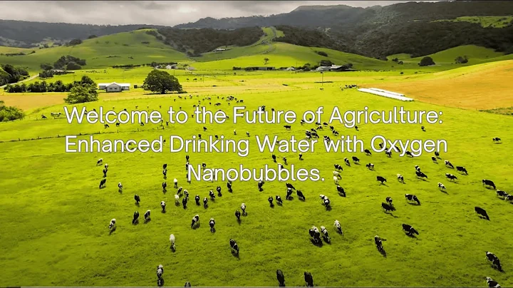 Unveiling the Agricultural Revolution with Nanobubbles