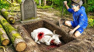 GA PERNAH SESEDIH INI! KAMBING KESAYANGAN MENINGGAL SAMPAI BIKIN NANGIS KEJER...