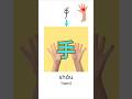 Learn Basic Chinese Characters Daily: 手
