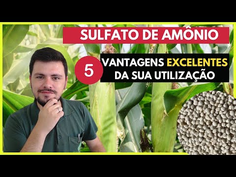Vídeo: Por que a amônia é um bom fertilizante?