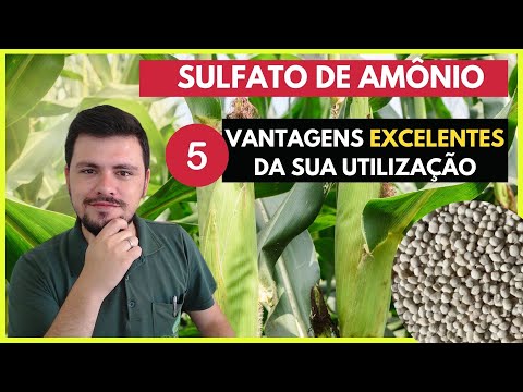 Vídeo: Existe amônia no fertilizante?