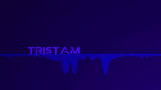 Tristam - I Remember [slowed]