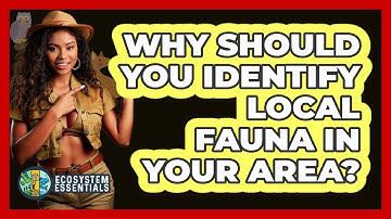 Why Should You Identify Local Fauna In Your Area? - Ecosystem Essentials