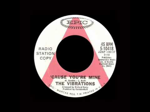 The Vibrations - 'Cause You're Mine