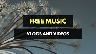 (Free Music for Vlogs) Umberto Chiroli - Coarse