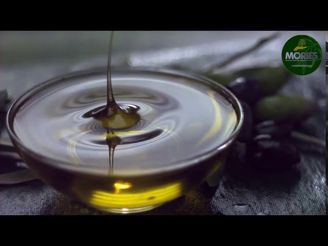 Cretan Olive Oil: Making of Terra Creta Olive Oil 