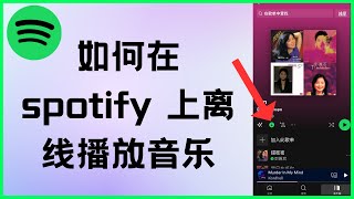 如何在 spotify 上离线播放音乐（2025）