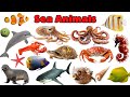 Sea Animals | Learn 30 Sea Animals | Education Toddlers Video #sea #animals 