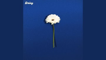 Thumbnail of Daisy