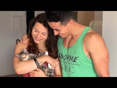 Vidéo: Survivre à vos 30 premiers jours avec un nouveau chaton