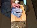 Big fish Cutting #asmr #shorts #satisfyingvideo #sounds #cooking