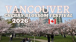 🇨🇦🌸 Vancouver Cherry Blossom Festival 2026 | David Lam Park | Vancouver Vlog