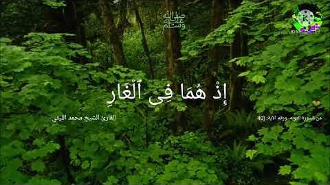 رائعه من روائع الشيخ/محمد الليثي من سورة التوبة  الآية:  (40