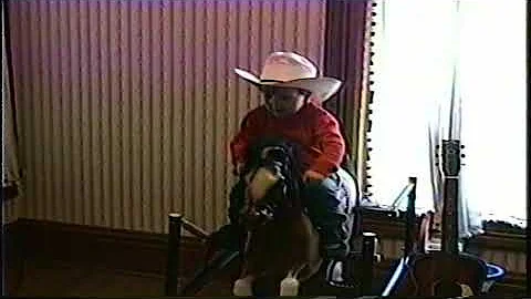 Henry Burns December 1994