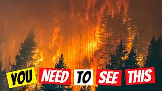 Drinking Water of MILLIONS at Risk from Wildfires