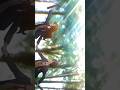 Love Me Like You Do AMV Anime Animeedit Trending 