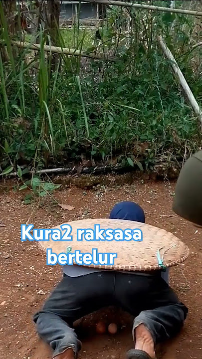 Komedi Video pendek #lucu #komedi #videolucu #videopendek