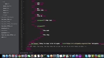 Lập Trình Web HTML CSS - Bài số 29 Thực hành căn bản CSS   Phần 1