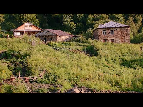 ხევსურების გასაჭირი | უშუქობის გამო დაცლილი სოფლები რეგიონში, სადაც რამდენიმე ჰესია