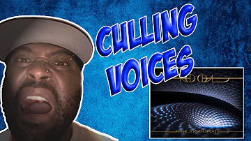 Tool | Culling Voices | REACTION VIDEO