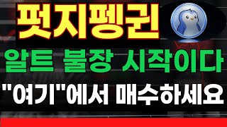 [펏지펭귄] 알트 불장 준비하세요 #펏지펭귄