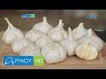 Pinoy MD: Healthy benefits ng bawang, alamin!