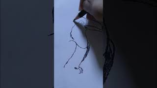 desenhando um tucano ✏️ #shorts